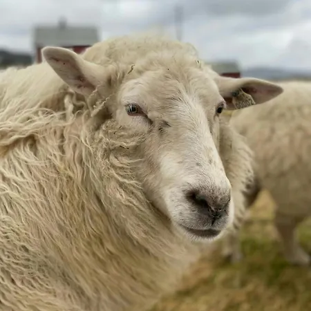 Hébergement de vacances Charming House In An Old Barn By The Lighthouse *