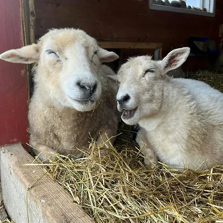 Charming House In An Old Barn By The Lighthouse * Godoy