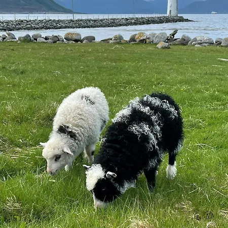 Charming House In An Old Barn By The Lighthouse Godoy