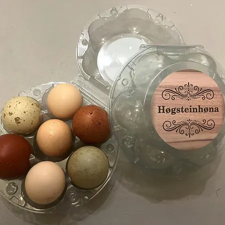 Feriehus Charming House In An Old Barn By The Lighthouse Godoy