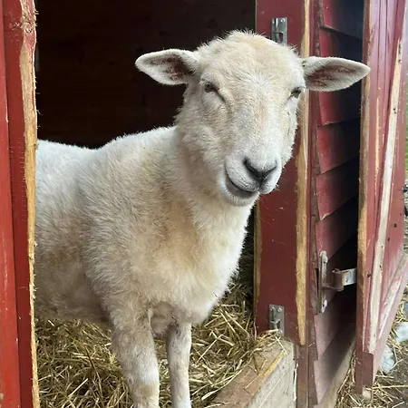 Charming House In An Old Barn By The Lighthouse Feriehus *